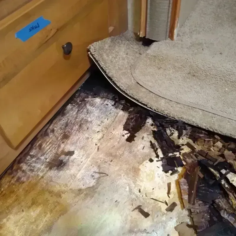 Wood Floor Water Damage in Belmont, MS